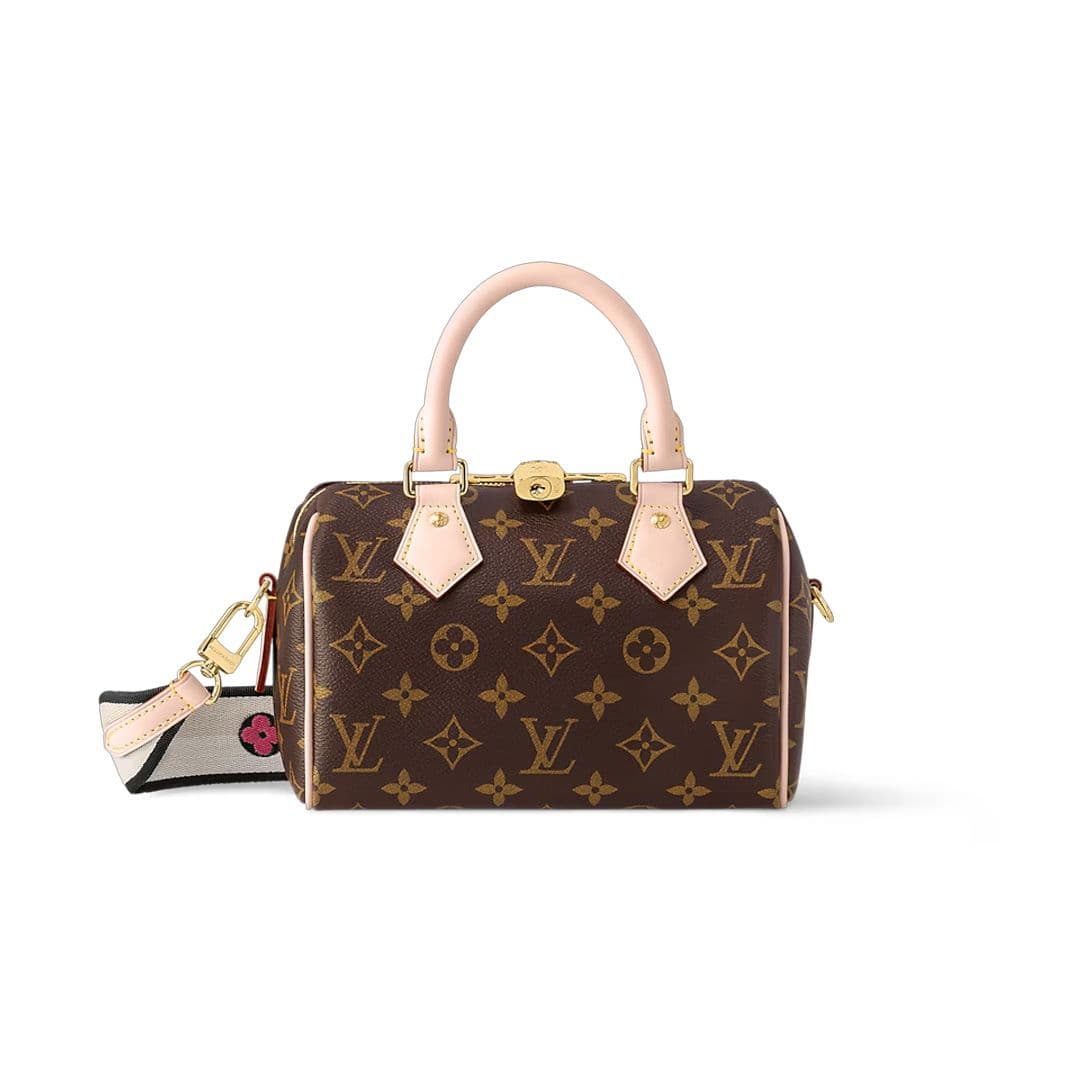 LV Mini Speedy 20 Bag